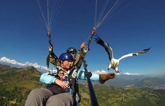 Paragliding in Pokhara