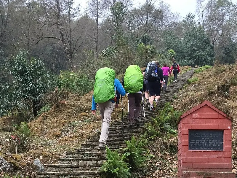 Day Trip - Sarangkot to Naudanda (5 hours)