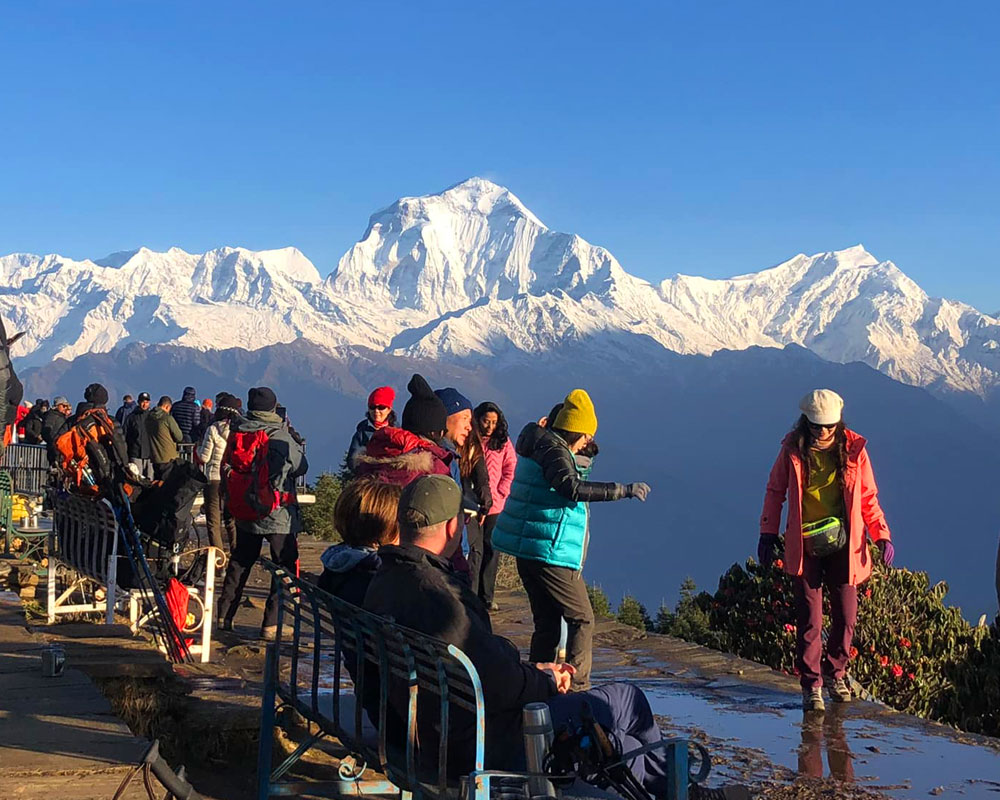 Day Trip - Pokhara City (4–5 hours)