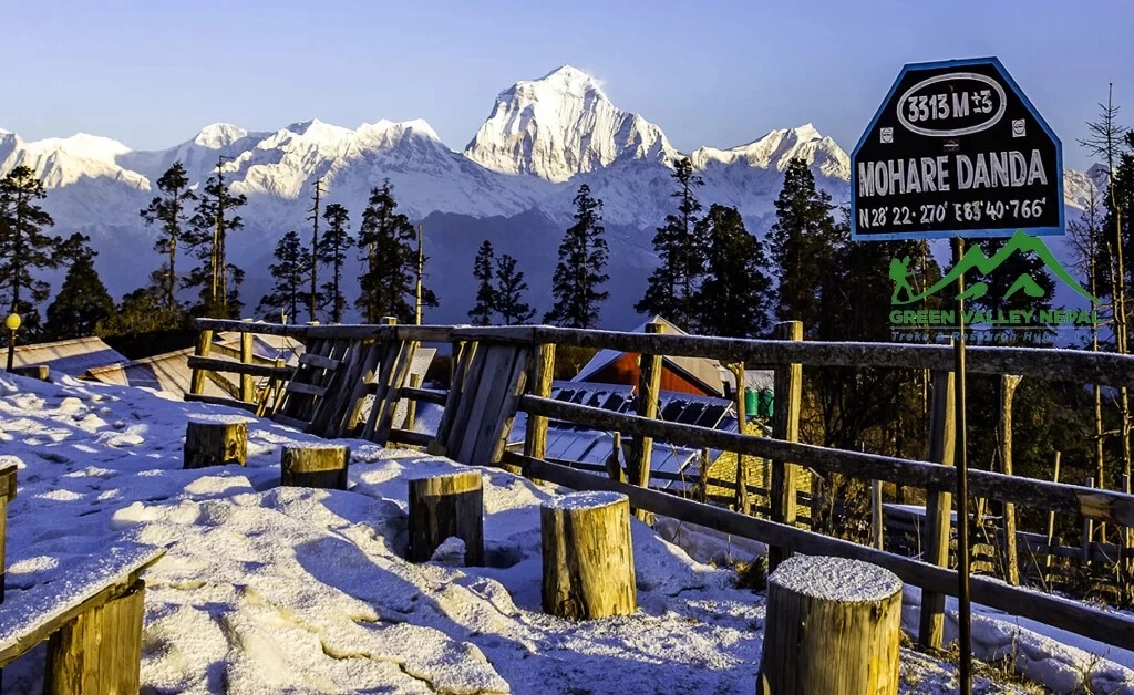 Day Trip - Australian Camp (5 hours)