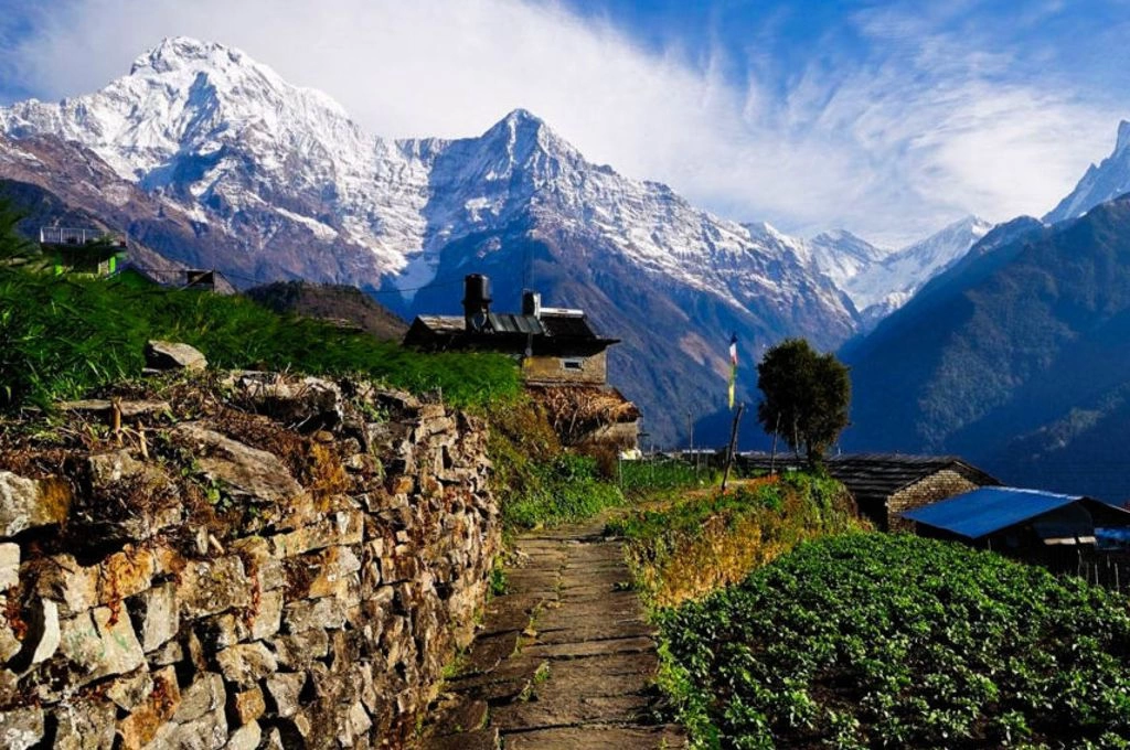 Yoga Trek (1–7 days)