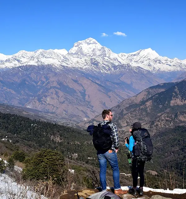 Day Trip - Dhampus (7 hours)