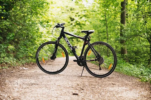 Bicycle